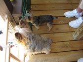 Enlarge photo 22