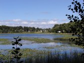 Enlarge photo 16