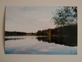 Enlarge photo 42