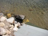 Enlarge photo 32