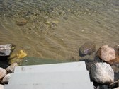 Enlarge photo 35