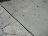 Enlarge photo 45