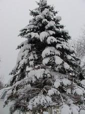 Christmas 2005