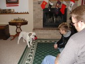 Enlarge photo 5