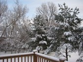 Enlarge photo 3