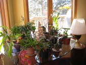 Enlarge photo 14