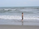 Enlarge photo 97