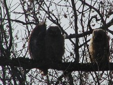 Enlarge photo 46