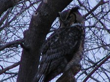 Enlarge photo 25