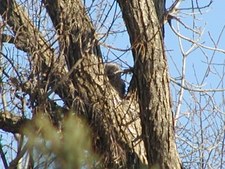 Enlarge photo 36