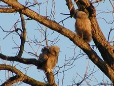 Enlarge photo 39