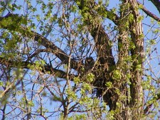 Enlarge photo 47