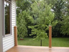 Enlarge photo 13