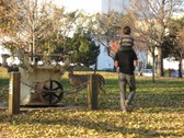 Enlarge photo 49
