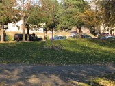 Enlarge photo 51