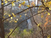 Enlarge photo 54