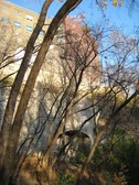Enlarge photo 59