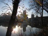 Enlarge photo 84