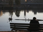 Enlarge photo 85
