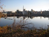 Enlarge photo 86