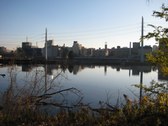 Enlarge photo 87
