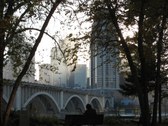 Enlarge photo 92