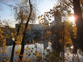 Enlarge photo 93