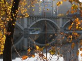Enlarge photo 94