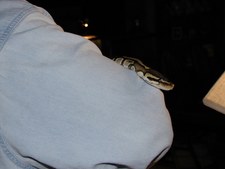 Enlarge photo 9