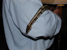 Enlarge photo 11