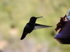 Enlarge photo 19
