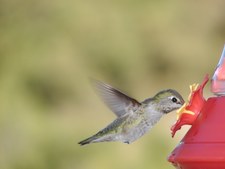 Enlarge photo 23
