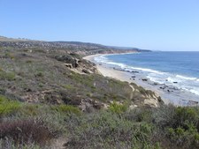 Enlarge photo 47