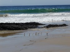 Enlarge photo 52