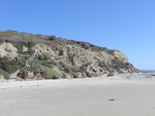 Enlarge photo 53