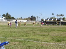 Enlarge photo 58