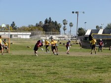 Enlarge photo 59
