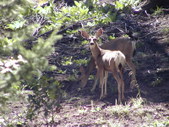 Enlarge photo 63