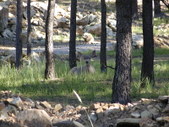 Enlarge photo 74
