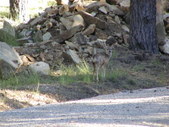 Enlarge photo 75