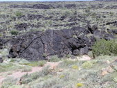 Enlarge photo 80