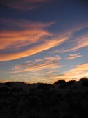 Enlarge photo 88