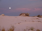 Enlarge photo 89