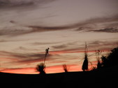 Enlarge photo 94