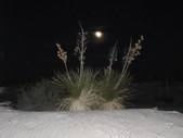 Enlarge photo 95