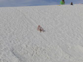 Enlarge photo 105