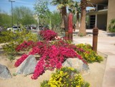Enlarge photo 58