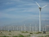 Enlarge photo 59