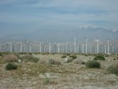 Enlarge photo 60