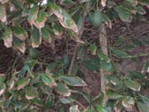 Enlarge photo 68